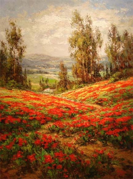 Unknown Artist Poppy Field A View From Above